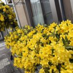 04-11karorainnjasumin